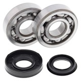 Cumpara ieftin Lagare cu arbore cotit set cu garnituri pentru POLARIS SPORTSMAN 90 2007-2010