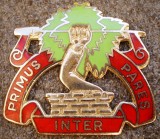 II.105 INSIGNA MILITARA ARTILERIE U.S. Army 1st Air Defense Artillery Regiment, America de Nord