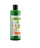 Cumpara ieftin Farmasi Botanics Sampon cu Mix de Ierburi , Curatare delicata si fortifiere par , 500 ml