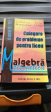 CULEGERE DE PROBLEME PENTRU LICEU CLASELE IX-XII C NASTASESCU JOITA NITA