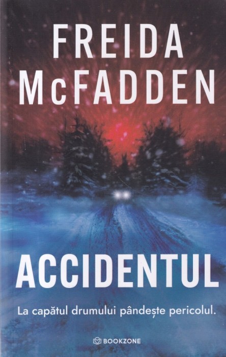 Freida McFadden - Accidentul