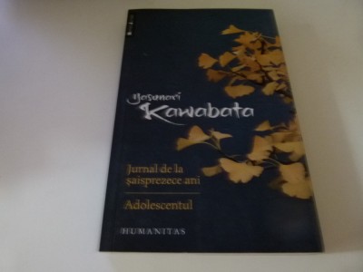 Jurnal dela 16 ani -Kawabata foto