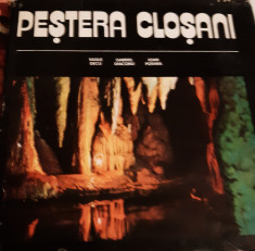 PESTERA CLOSANI Vasile Decu foto