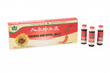 GINSENG&amp;ROYAL JELLY 10FL*10ML (YK)