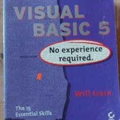 Visual Basic 5 No experience required