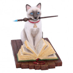 Statueta pisicuta magica Hocus Pocus 17 cm - Lisa Parker foto