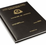 Lucrari licenta
