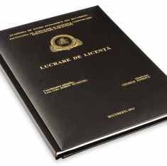 Lucrari licenta