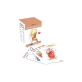 Anatomy Flashcards: 300 Flashcards with Anatomically Precise Drawings and Exhaustive Descriptions