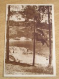 QW27 S - Carte postala - tematica turism - vedere - Slanic Prahova 5