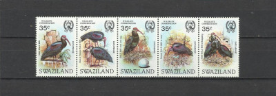 SWAZILAND 1984 FAUNA PASARI IBIS foto