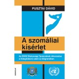 A szom&aacute;liai k&iacute;s&eacute;rlet - Az ENSZ Biztons&aacute;gi Tan&aacute;cs&aacute;nak &uacute;tkeres&eacute;se a hidegh&aacute;bor&uacute; ut&aacute;ni &uacute;j vil&aacute;grendben - Pusztai D&aacute;vid