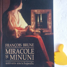 Miracole si minuni Francois Brune