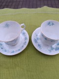 Portelan englezesc Bone China colectia Royal Standard, set de cafea tete a tete