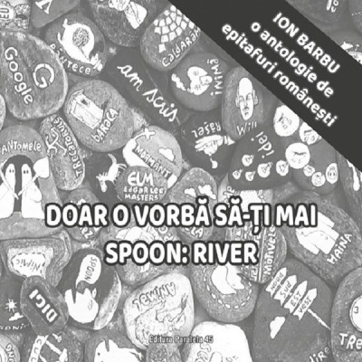 Doar O Vorba Sa-Ti Mai Spoon, Ion Barbu - Editura Paralela 45 foto