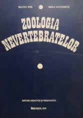 Valeria Fira - Zoologia nevertebratelor (Editia: 1977) foto