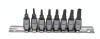 Topmaster Profesional Set 8 biti Torx Penta gaura de siguranta 1/4&#039; TS8-40