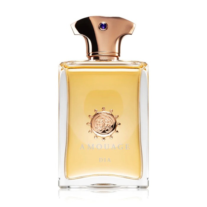 Amouage, Dia, Apă de Parfum, Bărbați, 100 ml