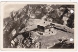 AMS - ILUSTRATA 1320, MUNTII BUCEGI, ANUL 1954, cu perforari