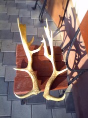 Coarne Cerb Lopatar decor Cabane,Foisoare etc foto