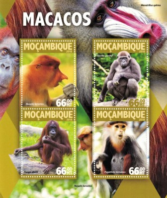 MOZAMBIC 2016 - Maimute /set complet MNH - colita+bloc ( 2 imagini ) foto