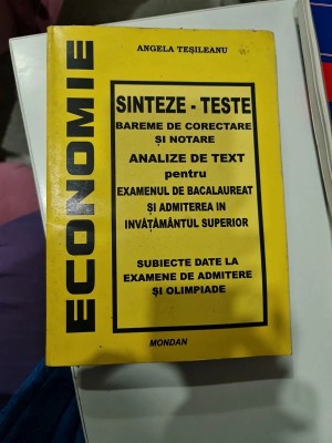 Economie, sinteze-teste - Angela Tesileanu foto
