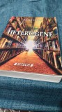 HETEROGENE-IULIAN CHIVU