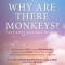 Why Are There Monkeys? (and other questions for God)