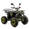 Atv copii XTR 006 Phyton, roti 8 inch, 125cc, 4 timpi, 3+1, pornire electrica, c... Cod Produs: MX_NEW XTR-006/83/1-17
