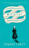 Extraordinara poveste a Micuței, faimoasa Madame Tussaud - Paperback brosat - Edward Carey - RAO