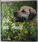 ICH , DER HUND ( EU, CAINELE ) , fotografien von ADRIANO BACCHELLA , ALBUM DE FOTOGRAFIE CU TEXT IN LIMBA GERMANA , 1994
