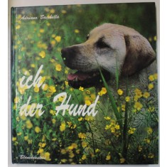ICH , DER HUND ( EU, CAINELE ) , fotografien von ADRIANO BACCHELLA , ALBUM DE FOTOGRAFIE CU TEXT IN LIMBA GERMANA , 1994