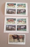 BERNERA ISLANDS SCOTLAND CAI 2 MINI COLI SI BLOC DANTELAT SI NEDANTELAT MNH