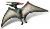 Pteranodon - Figurina pentru copii, Bullyland