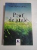 PRAF DE STELE - VALERIU PANOIU
