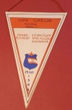Fanion meci Handbal DINAMO BUCURESTI - SC ESCHISEHIR (Cupa Cupelor 29.10.1988)