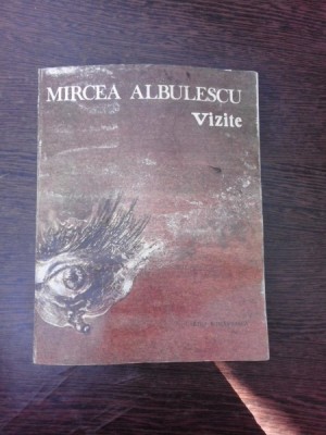 VIZITE - MIRCEA ALBULESCU foto