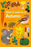 What To Look For In Autumn | Elizabeth Jenner