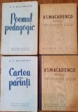 Pachet carti Macarenco