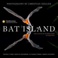 Bat Island: A Rare Journey Into the Hidden World of Tropical Bats