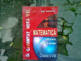 MATEMATICA. GHID DE LUCRU MATEMATICA DE GIMNAZIU CLASELE V-VIII - MONA MARINESCU