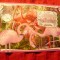 Bloc Gabon 2019 - Pasari Exotice - Flamingo , stampilat