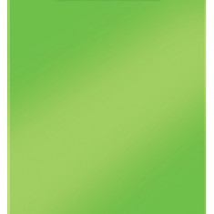 Clipboard Leitz Wow, Simplu, Ps, A4, 100 Coli, Verde