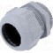 Presetupa poliamida, PG42, IP68, {{Seria producatorului}}, LAPP - 53015080