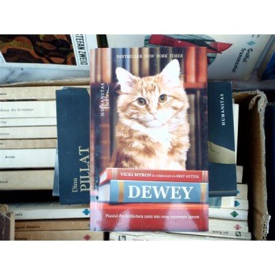 Dewey , Vicki Myron foto
