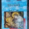 RELIGIA IN INTREBARI SI RASPUNSURI CLASELE V - VIII IORDANESCU POPA ODA