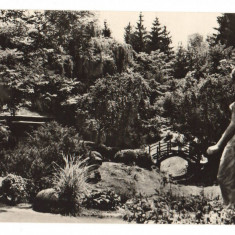 CPIB 16858 CARTE POSTALA - CLUJ. GRADINA BOTANICA