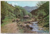 bnk cp Coborand pe vale - Vedere - uzata