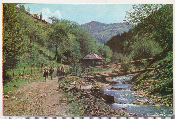 bnk cp Coborand pe vale - Vedere - uzata