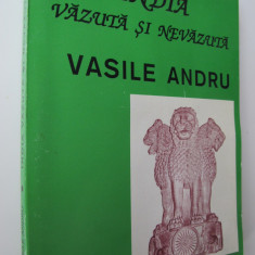 India vazuta si nevazuta - Vasile Andru